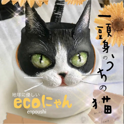 「ecoにゃん」うちの子オーダー愛猫鉢雑貨 完全オリジナル受注制作品※購入前にメッセージ必須(現在納期に3ヶ月) 1枚目の画像