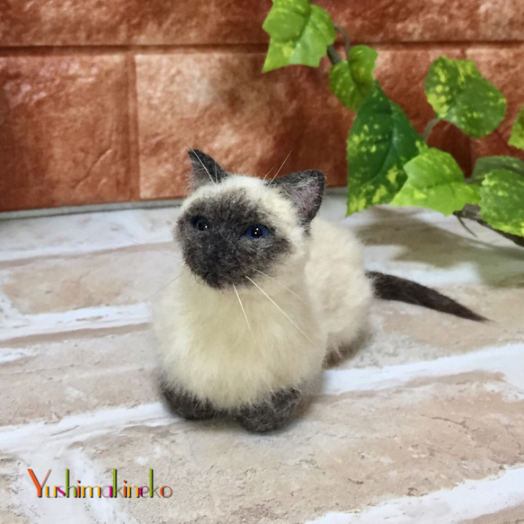 羊毛フェルト ミニチュア 香箱座りのシャム猫 羊毛フェルト