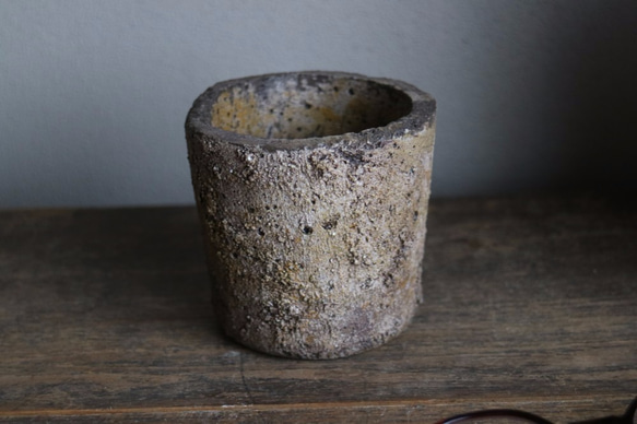 mimoza iro の鉢 Acacia dealbata color concrete pots コンクリート　植木鉢 3枚目の画像