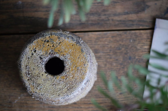 mimoza iro の鉢 Acacia dealbata color concrete pots コンクリート　植木鉢 5枚目の画像