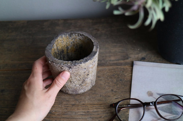 mimoza iro の鉢 Acacia dealbata color concrete pots コンクリート　植木鉢 6枚目の画像