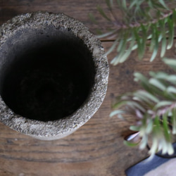 千鳥草のコンクリート鉢 M size. 植木鉢 サボテン 多肉 植物 ドライフラワー ボタニカル 5枚目の画像