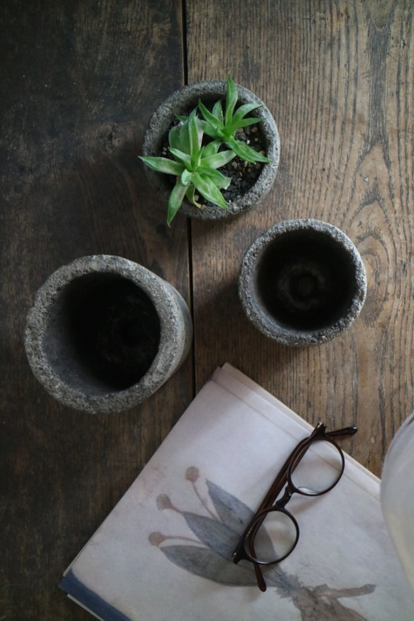 千鳥草のコンクリート鉢 M size. 植木鉢 サボテン 多肉 植物 ドライフラワー ボタニカル 8枚目の画像