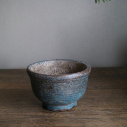 ao bonsai鉢　（多肉 ドライフラワー ボタニカル 植物） 2枚目の画像