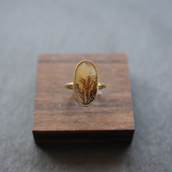 dendritic agate brass ring (shading) 1枚目の画像