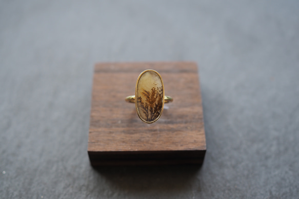 dendritic agate brass ring (shading) 1枚目の画像