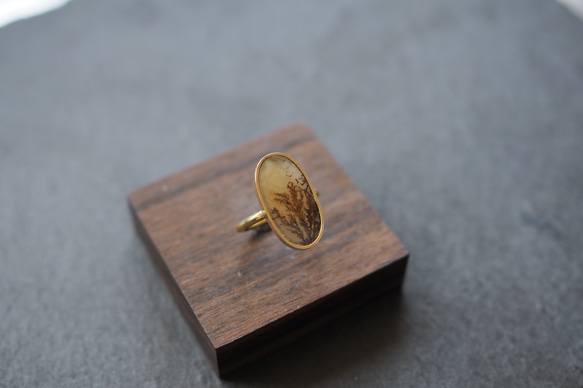 dendritic agate brass ring (shading) 2枚目の画像