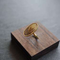 dendritic agate brass ring (shading) 3枚目の画像