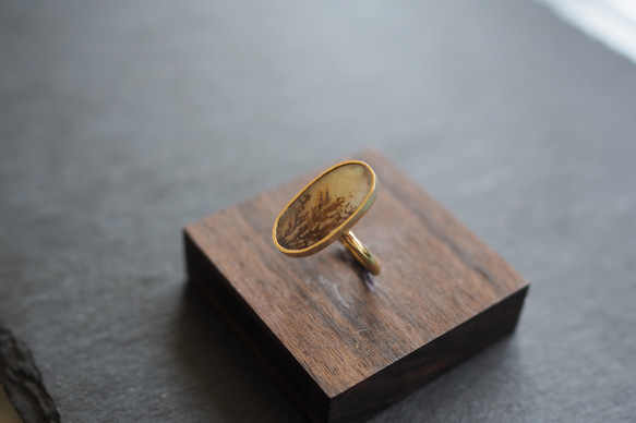 dendritic agate brass ring (shading) 3枚目の画像