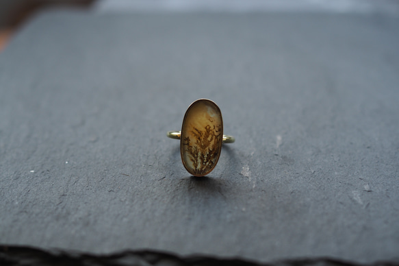 dendritic agate brass ring (shading) 6枚目の画像
