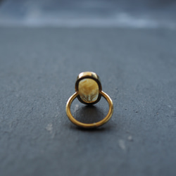 dendritic agate brass ring (shading) 9枚目の画像