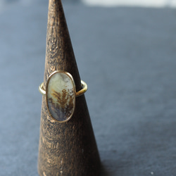 dendritic agate brass ring (shading) 10枚目の画像