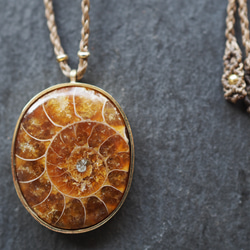 ammonite brass necklace (brown) 2枚目の画像