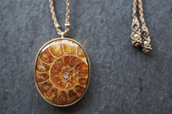 ammonite brass necklace (brown) 2枚目の画像