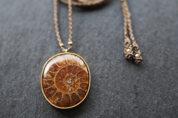 ammonite brass necklace (brown) 5枚目の画像