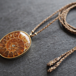 ammonite brass necklace (brown) 6枚目の画像