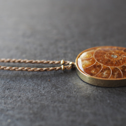 ammonite brass necklace (brown) 9枚目の画像