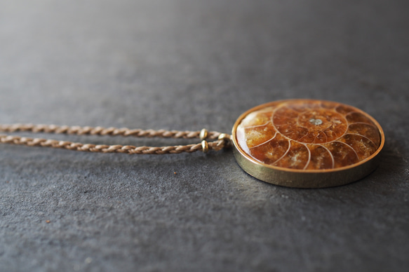 ammonite brass necklace (brown) 9枚目の画像