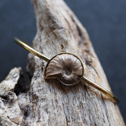 ammonite brass bangle 1枚目の画像