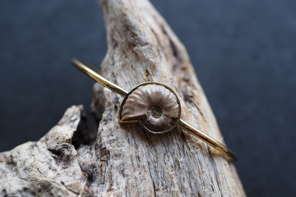 ammonite brass bangle 1枚目の画像