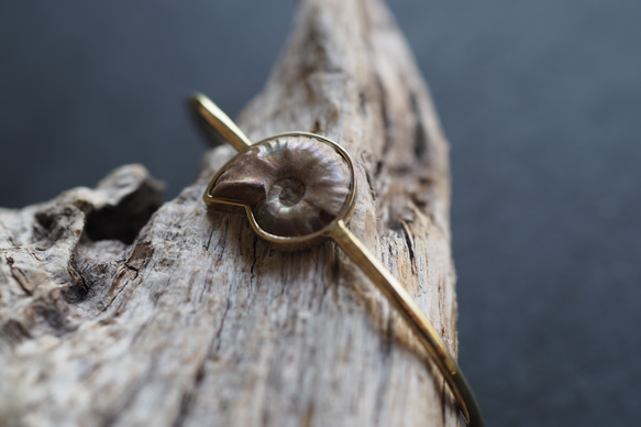 ammonite brass bangle 8枚目の画像