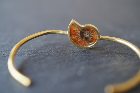 ammonite brass bangle 10枚目の画像