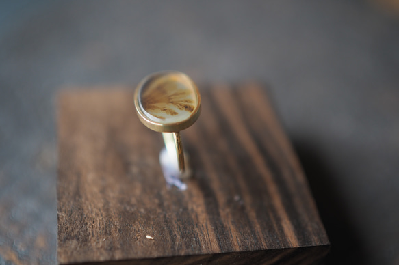 dendritic agate brass ring (watercolor) 5枚目の画像