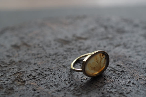 dendritic agate brass ring (watercolor) 8枚目の画像