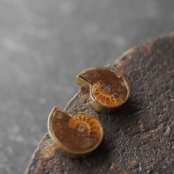 ammonite brass pierce 2枚目の画像