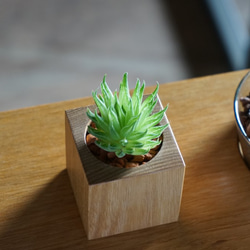 wood vase 1 小さな多肉植物用 2枚目の画像