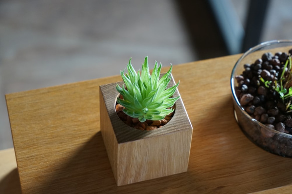 wood vase 1 小さな多肉植物用 2枚目の画像