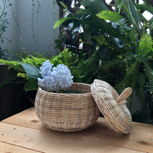ラタン製りんご型バスケット その他インテリア雑貨 Momo Rattan 通販