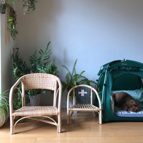 ラタン編み込みデザイン椅子 【2】 期間限定送料無料（北海道、沖縄