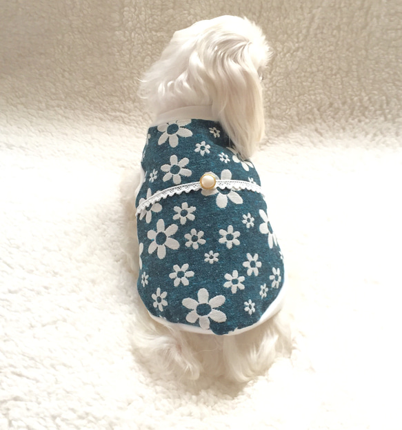 ハンドメイド犬の服ターコイズ