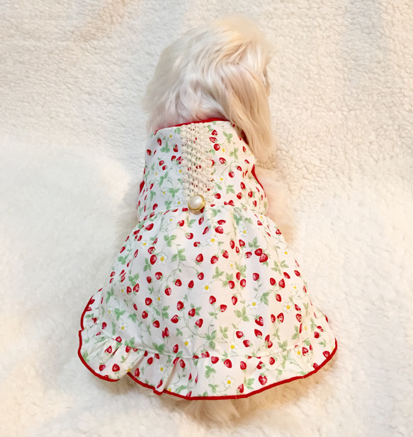 犬服  いちご柄のコットンワンピース（ホワイト） 5枚目の画像