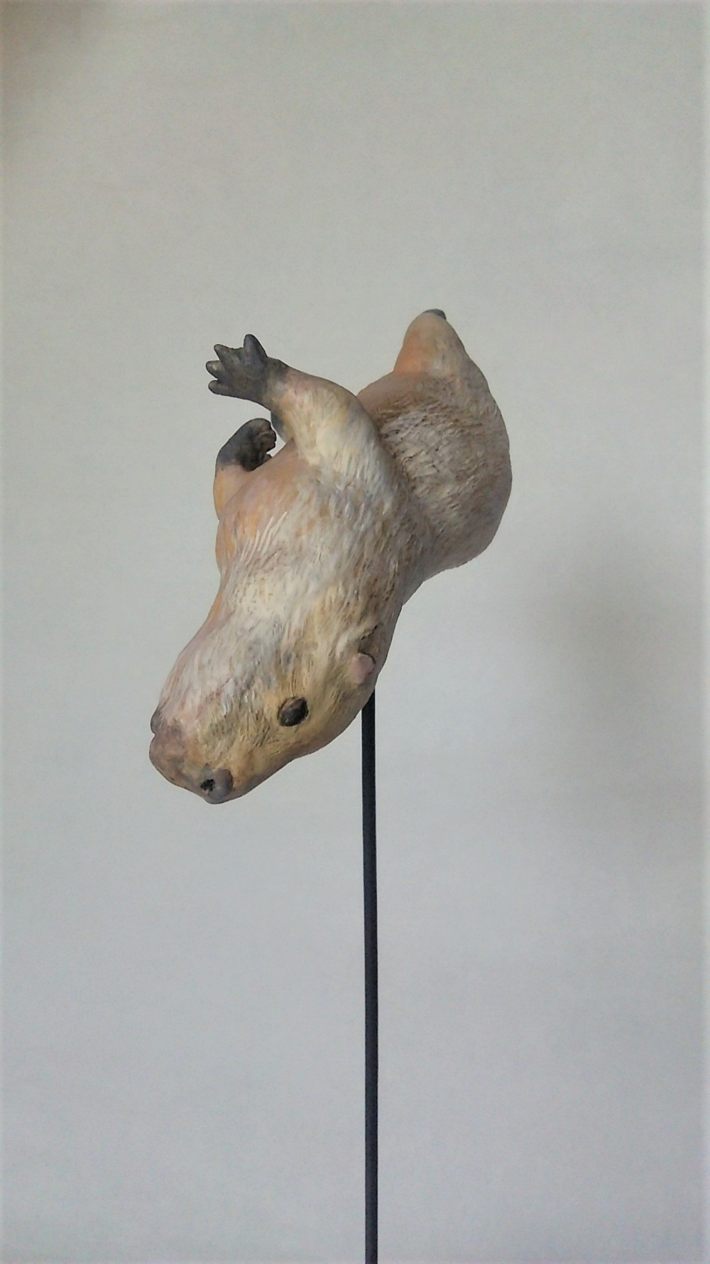 泳ぐカピバラのフィギュア　「水中遊泳」