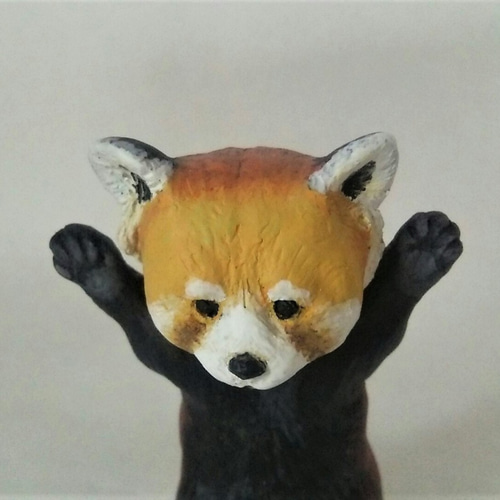 レッサーパンダ フィギュア 手のひらサイズ アニア AS-35 レッサーパンダ お一人さま3点限り 4904810119494