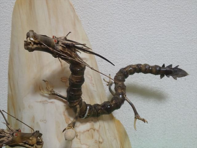 ★龍の杖★縁起物★唯一無二★珍しい竹★手彫り★