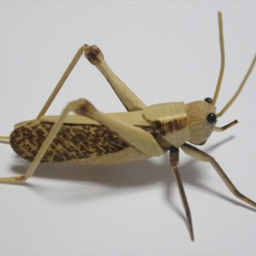 真鍮 バッタ 昆虫 置物 オブジェ グラスホッパー　金属製 北欧雑貨 インテリア おしゃれ 真鍮 昆虫 殿様バッタ 金色