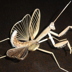 0_3c16af78218800b5401f0e000cf5