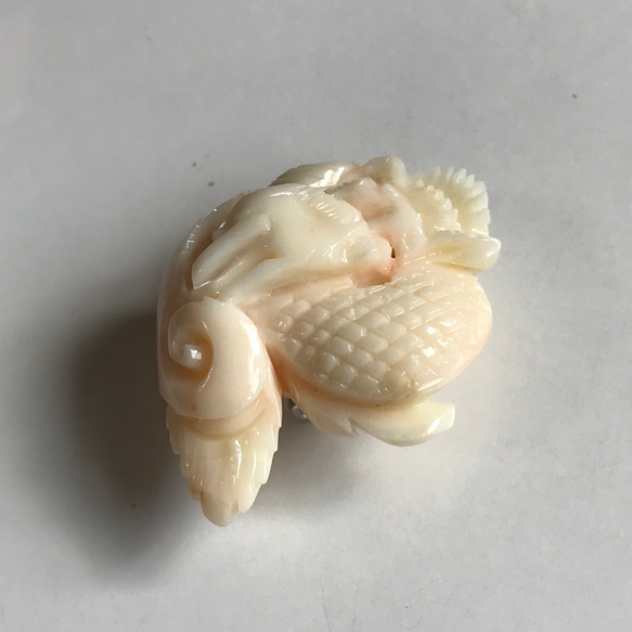 珊瑚帯留め1万円均一セール☆珊瑚彫刻『白龍』 8枚目の画像
