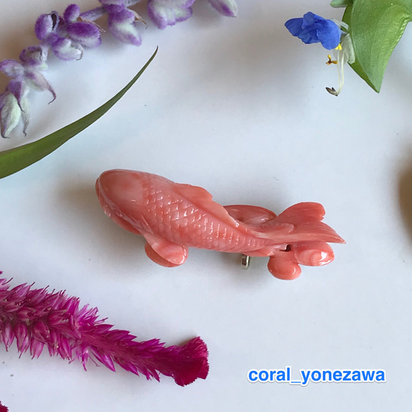 アウトレットSALE☆珊瑚帯留め『珊瑚彫刻・粋なピンクの鯉』 2枚目の画像