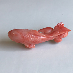 アウトレットSALE☆珊瑚帯留め『珊瑚彫刻・粋なピンクの鯉』 7枚目の画像