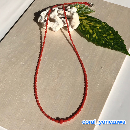 SALE☆赤珊瑚しずく形ロングネックレス・留め金シルバー製R30203  