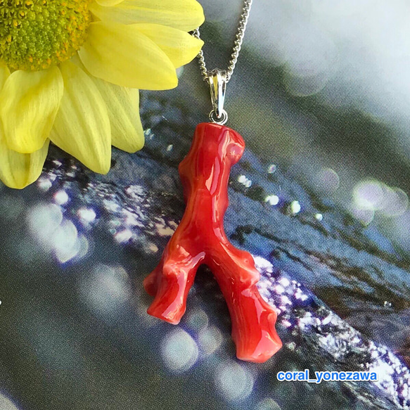血赤珊瑚 ネックレス」の人気商品一覧 | 安い商品を通販サイトから探す -