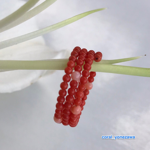 令和元年7月のお得♡（14）赤珊瑚・ピンク珊瑚のリング 1枚目の画像