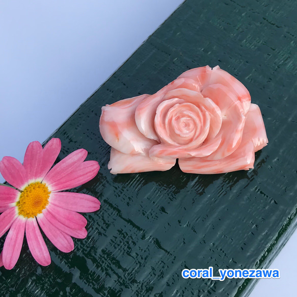 訳ありSALE☆珊瑚彫刻帯留め『薔薇の花』花びらのカーブがステキ！ 1枚目の画像