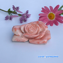 訳ありSALE☆珊瑚彫刻帯留め『薔薇の花』花びらのカーブがステキ！ 6枚目の画像