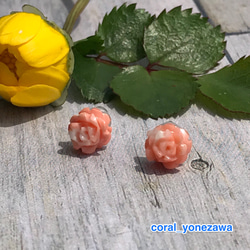珊瑚彫刻『ミニ薔薇』ピアス・ポストＫ14WG 1枚目の画像