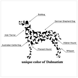 送料無料 犬模様のダルメシアン 3枚目の画像